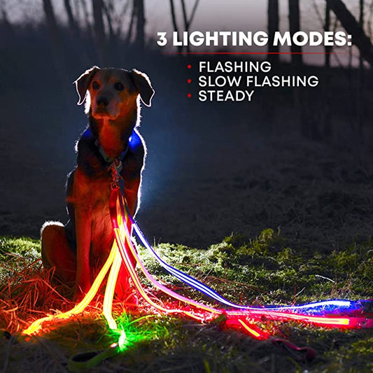 Stylish Illuminated Dog Lead